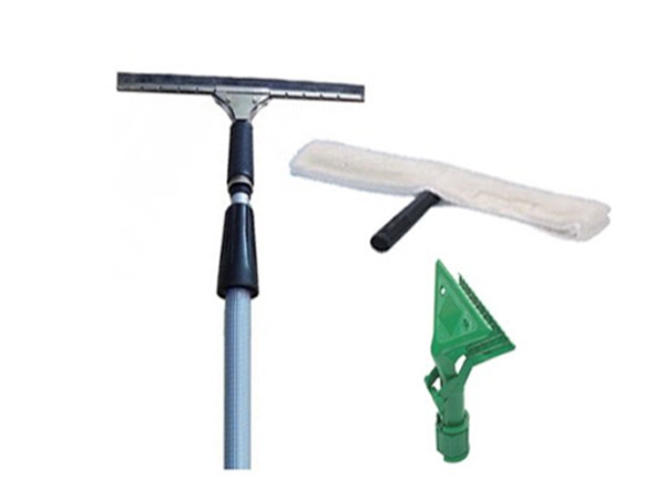 cay-lau-kinh-mua-o-dau-tai-tphcm