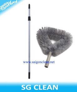 Cây Lau Trần Nhà 6 Mét