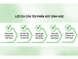 6-loi-ich-ma-tui-phan-huy-sinh-hoc-mang-lai