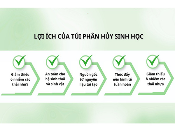 6-loi-ich-ma-tui-phan-huy-sinh-hoc-mang-lai